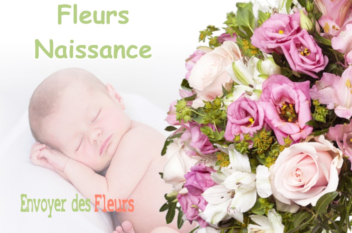 lIVRAISON FLEURS NAISSANCE à SAINT-LEU-D-ESSERENT